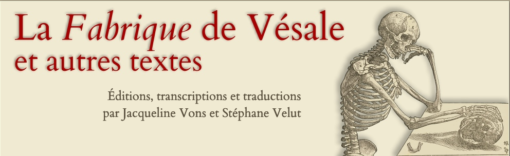 vesale vesale