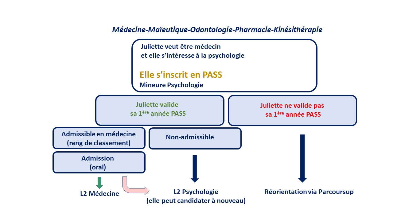 schéma redoublement PASS